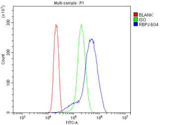 RBPJK/RBPJ Mouse Monoclonal Antibody