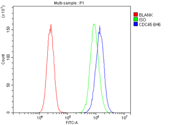 CDC45L Mouse Monoclonal Antibody