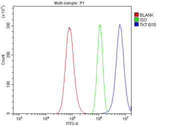 Transketolase/TKT Mouse Monoclonal Antibody