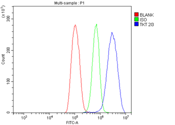 Transketolase/TKT Mouse Monoclonal Antibody