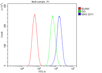 MAG Mouse Monoclonal Antibody