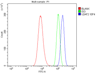 U2AF65/U2AF2 Mouse Monoclonal Antibody
