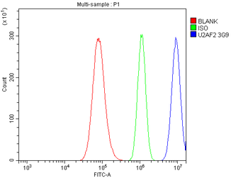 U2AF65/U2AF2 Mouse Monoclonal Antibody