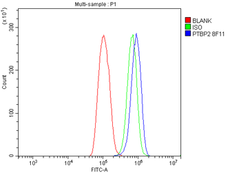 PTBP2 Mouse Monoclonal Antibody