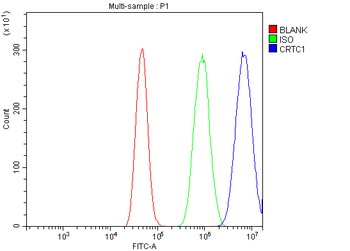 TORC1/CRTC1 Rabbit Polyclonal Antibody