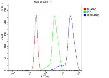 HNRNPH3 Rabbit Polyclonal Antibody