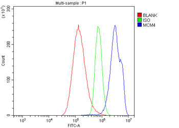MCM4 Rabbit Polyclonal Antibody