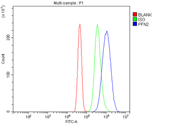 Profilin 2/PFN2 Rabbit Polyclonal Antibody