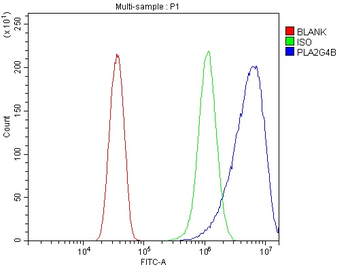 cPLA2 beta/PLA2G4B Rabbit Polyclonal Antibody