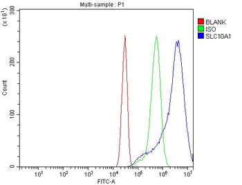 SLC10A1/NTCP1 Rabbit Polyclonal Antibody