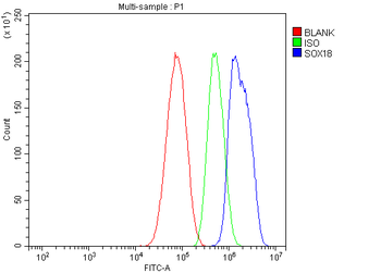 SOX18 Rabbit Polyclonal Antibody