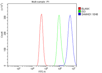 SAMHD1 Mouse Monoclonal Antibody