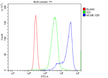 MCM6 Mouse Monoclonal Antibody