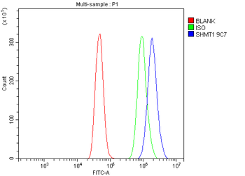 SHMT1 Mouse Monoclonal Antibody