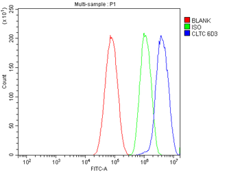 Clathrin heavy chain/CLTC Mouse Monoclonal Antibody