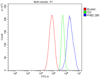 REA/PHB2 Mouse Monoclonal Antibody
