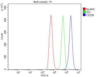 CD226 Rabbit Polyclonal Antibody