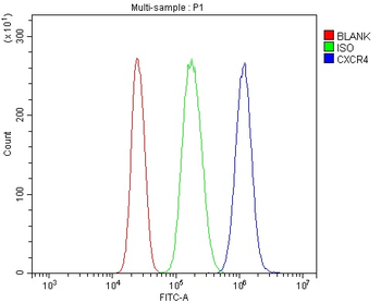 CXCR4 Rabbit Polyclonal Antibody