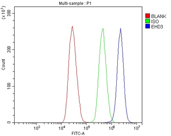 EHD3 Rabbit Polyclonal Antibody