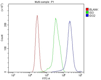 IDO-2/IDO2/IDO Rabbit Polyclonal Antibody