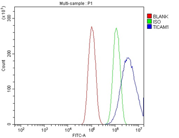 TRIF/TICAM1 Rabbit Polyclonal Antibody