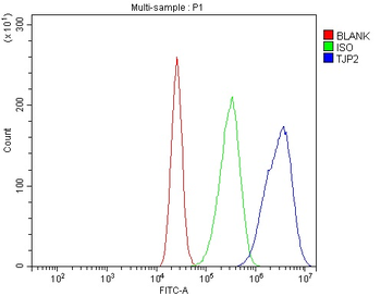 TJP2/ZO2 Rabbit Polyclonal Antibody