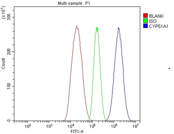 CYP51A1/CYP51 Rabbit Polyclonal Antibody