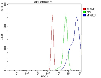 Milk Fat Globule 1/Mfge8 Rabbit Polyclonal Antibody