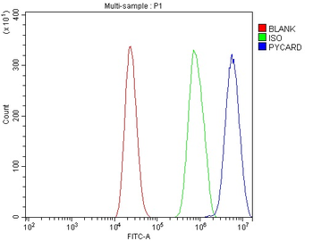 TMS1/ASC/Pycard Rabbit Polyclonal Antibody