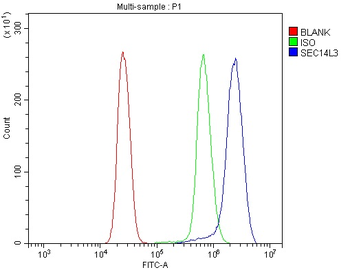 SEC14L3/TAP2 Rabbit Polyclonal Antibody