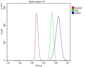 TIMP1 Rabbit Polyclonal Antibody