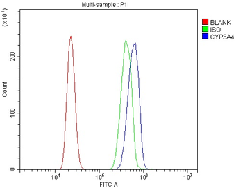 Cytochrome P450 3A4/CYP3A4 Rabbit Polyclonal Antibody