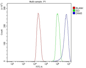 Dynamin 3/DNM3 Rabbit Polyclonal Antibody
