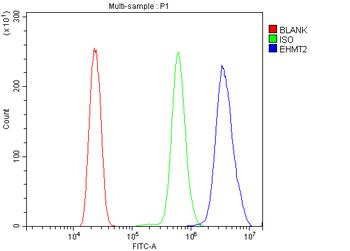 EHMT2/G9A Rabbit Polyclonal Antibody