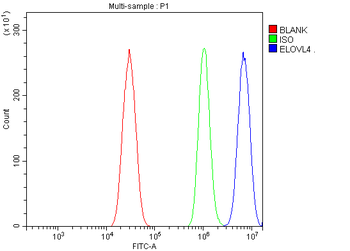 Elovl4 Rabbit Polyclonal Antibody