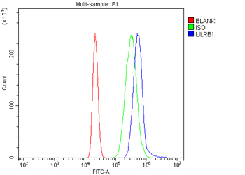LILRB1 Rabbit Polyclonal Antibody