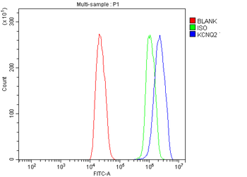 KCNQ2 Rabbit Polyclonal Antibody