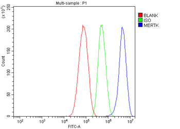 MERTK Rabbit Polyclonal Antibody