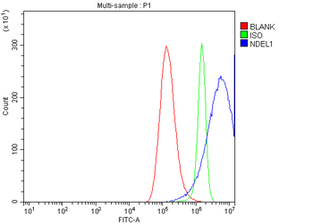 NDEL1 Rabbit Polyclonal Antibody