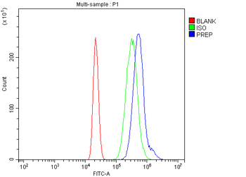 Prolyl Endopeptidase/PREP Rabbit Polyclonal Antibody