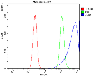 TRAP alpha/TRAPA/SSR1 Rabbit Polyclonal Antibody