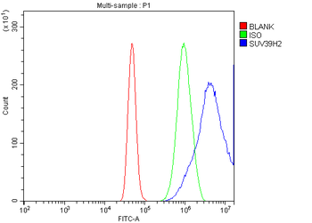 KMT1B/SUV39H2 Rabbit Polyclonal Antibody