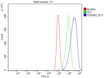 TGFBR2 Mouse Monoclonal Antibody