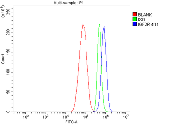 IGF2R Mouse Monoclonal Antibody