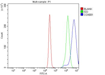 COX6B1 Rabbit Polyclonal Antibody