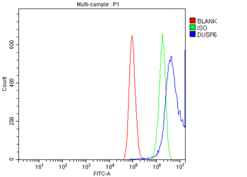 DUSP6 Rabbit Polyclonal Antibody