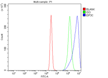 EIF3C Rabbit Polyclonal Antibody