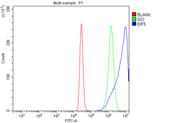 EIF5 Rabbit Polyclonal Antibody