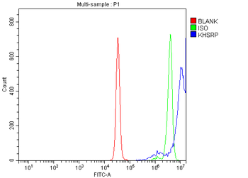 KHSRP Rabbit Polyclonal Antibody