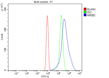 Nr0b2 Rabbit Polyclonal Antibody